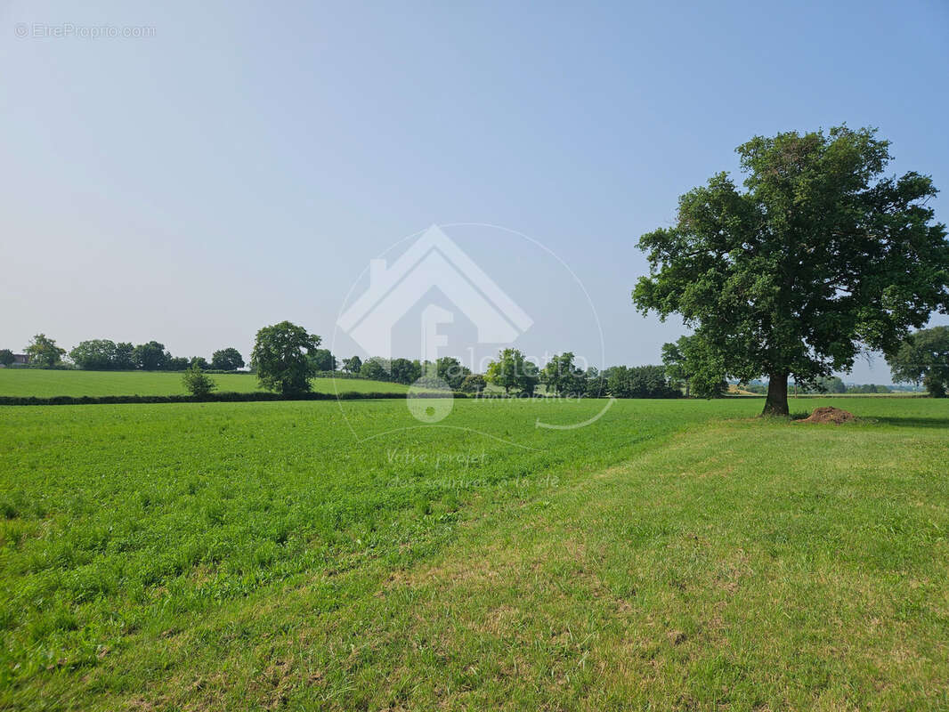 Maison à MONTAIGU-LE-BLIN