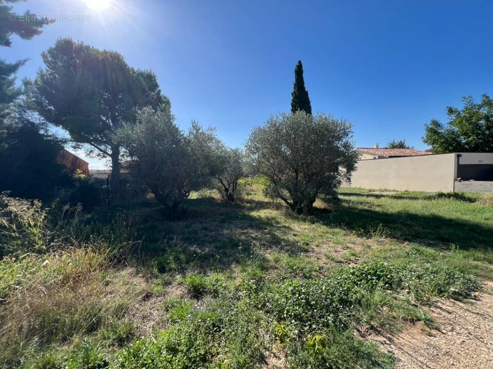 Terrain à MONTPEYROUX