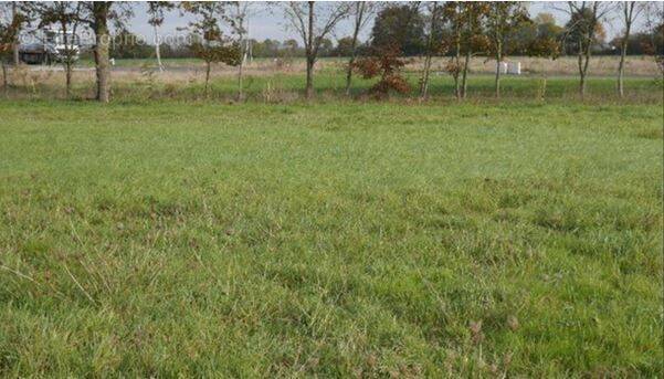 Terrain à CHAMPTOCE-SUR-LOIRE