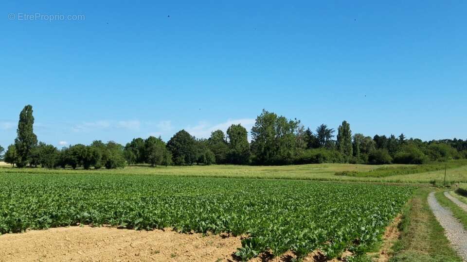 Terrain à BOULLAY-LES-TROUX