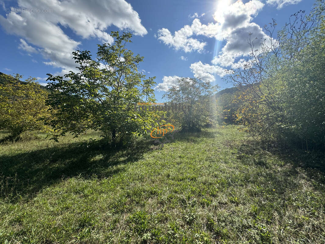 Vente terrain constructible avec maison de vigne Saint Affrique - photo 9