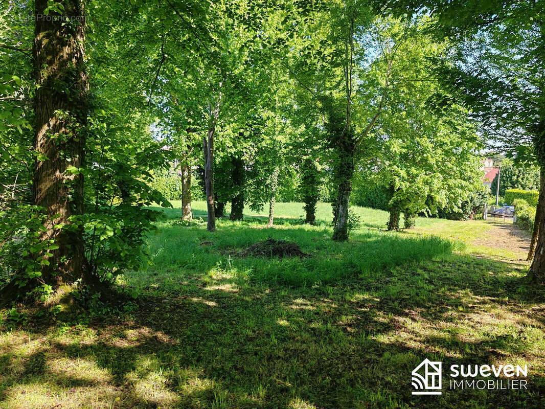 parc - Maison à LANNEMEZAN