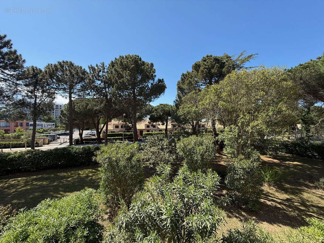 Photo 8 - Appartement à ARGELES-SUR-MER