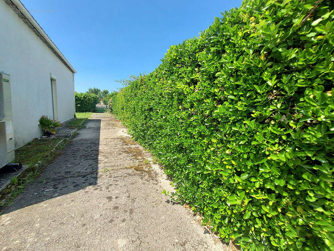 Terrain à SAINT-DENIS-D&#039;OLERON