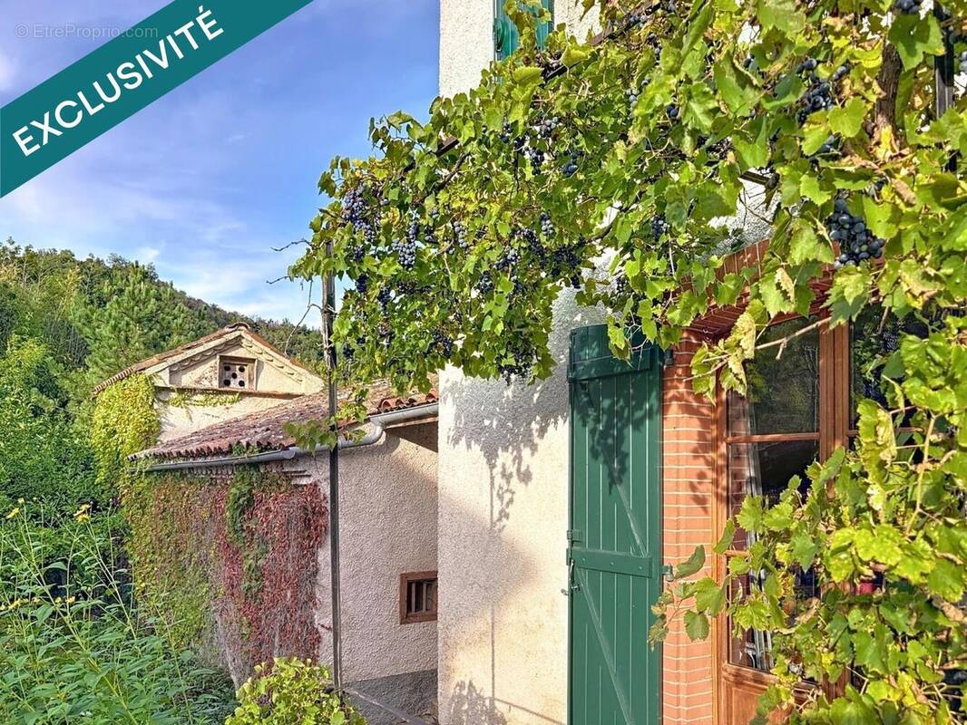 Photo 1 - Maison à SAINT-PAUL-DE-JARRAT