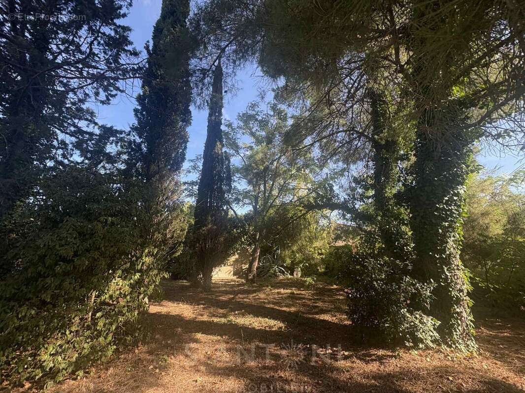 Terrain à MONTBAZIN