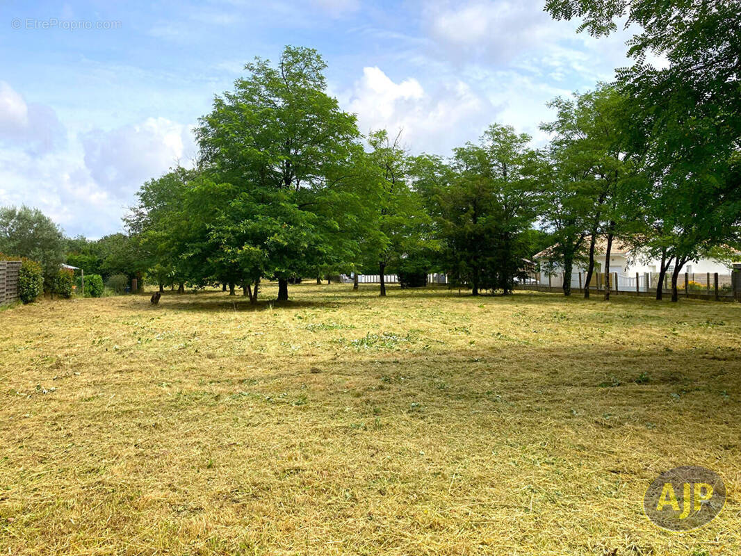 Terrain à SAINT-MEDARD-EN-JALLES