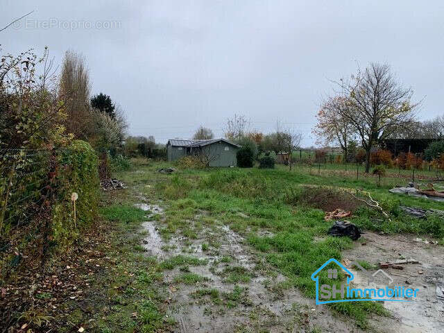 Terrain à BAISIEUX