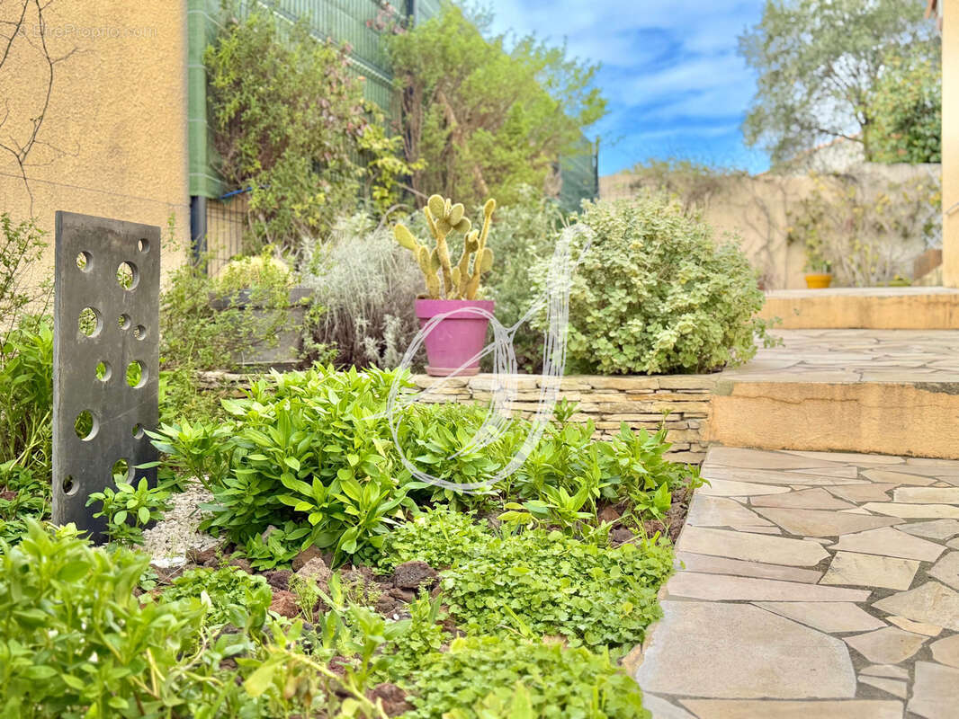 Maison à MONTPELLIER