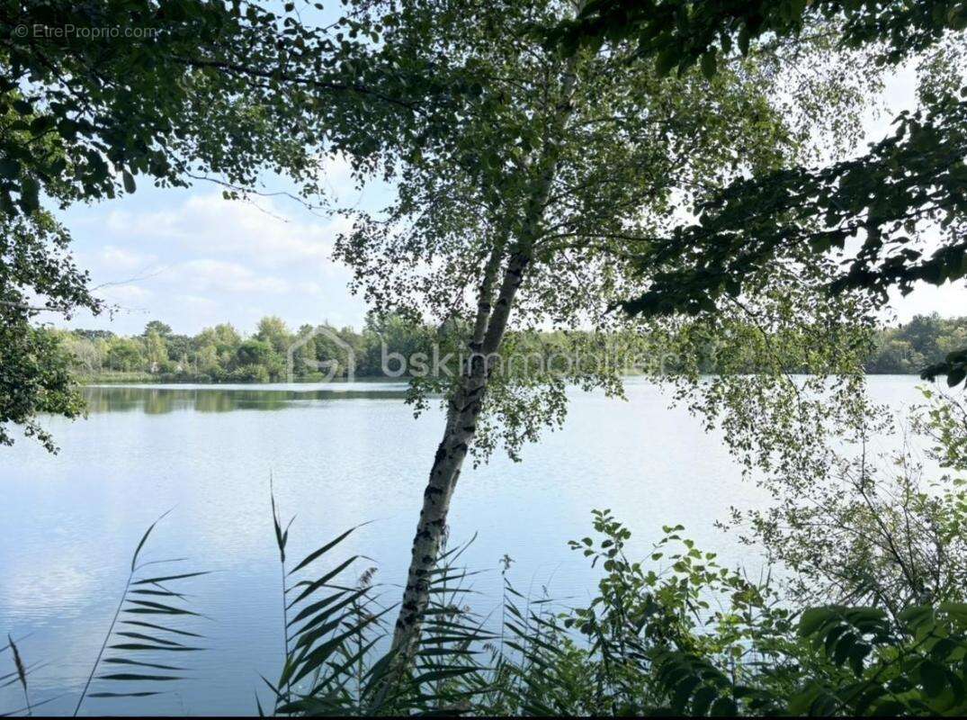 Terrain à SAINTE-GEMME