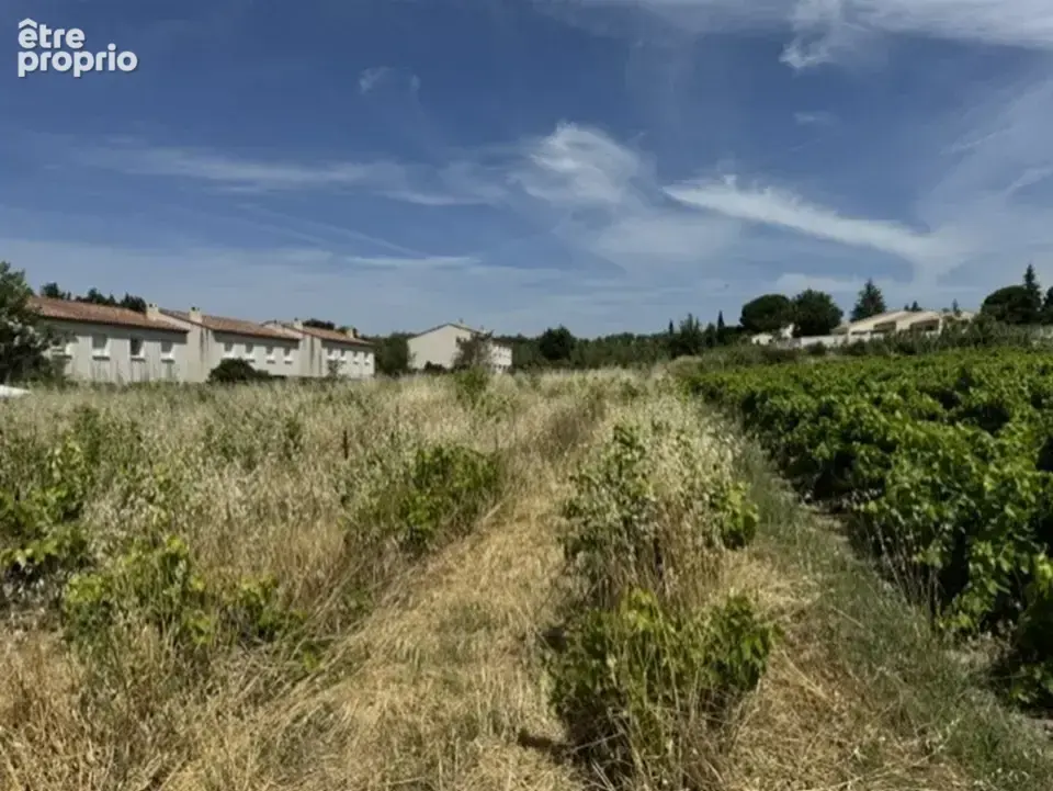 Terrain 729 m² à vendre à Mazan (84380) - photo 2