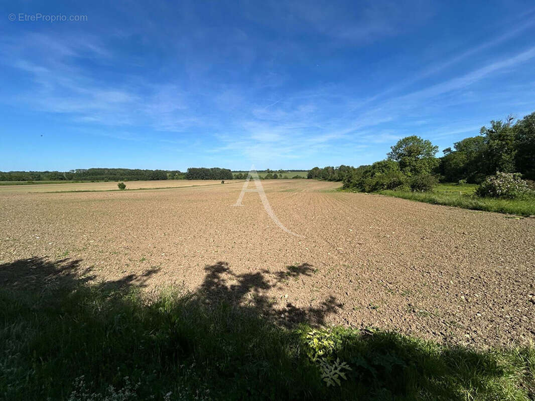 Terrain à PRESLES-EN-BRIE