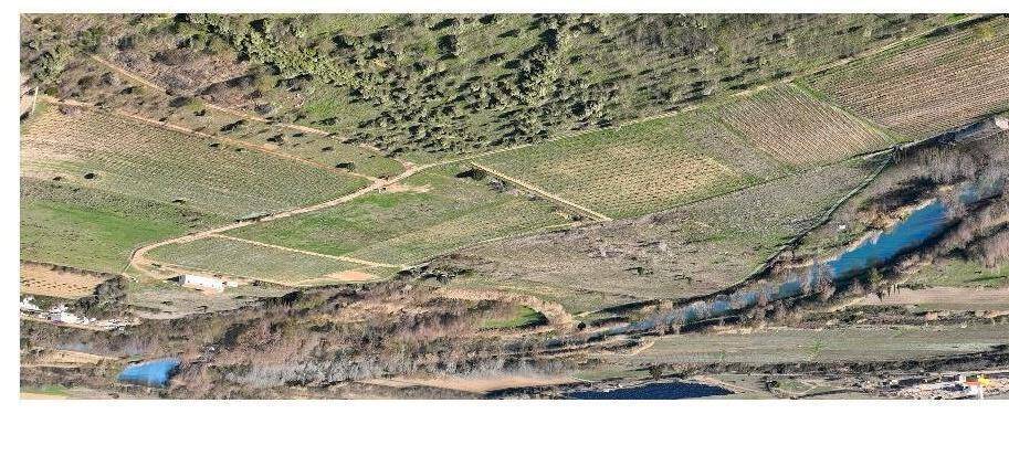 Terrain à FERRALS-LES-CORBIERES