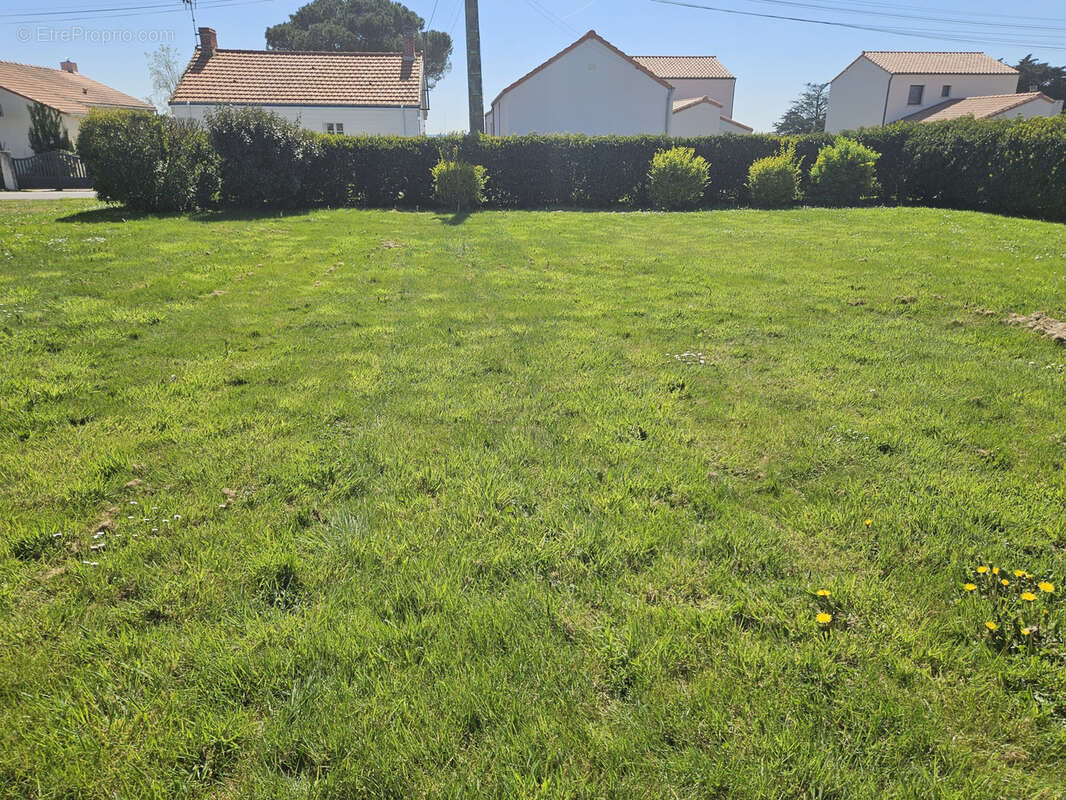 Terrain à BOURGNEUF-EN-RETZ