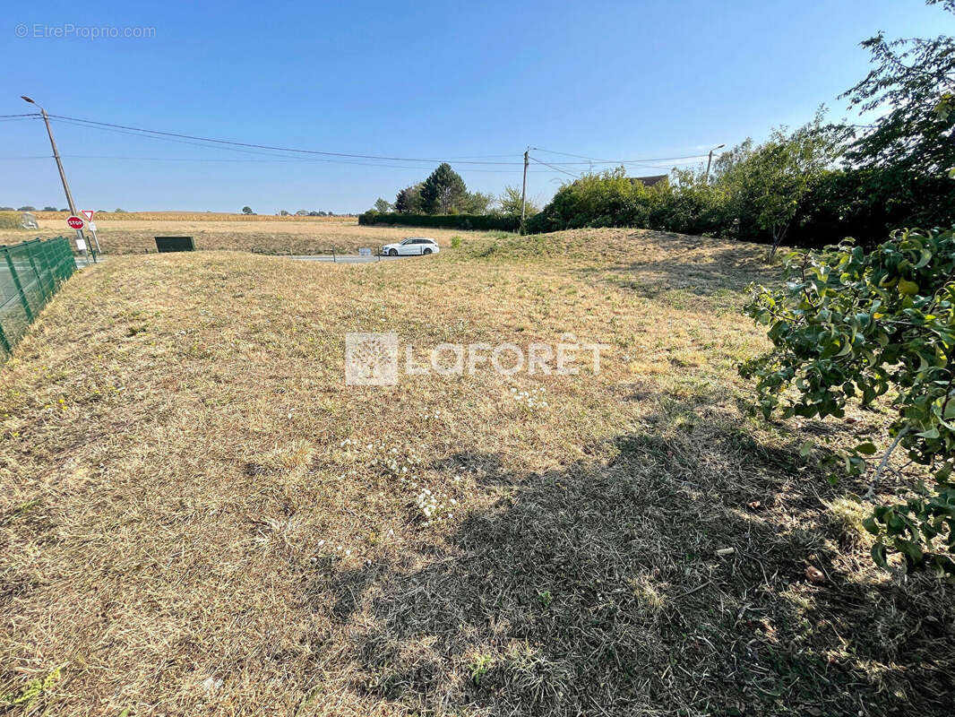 Terrain à TORTEQUESNE
