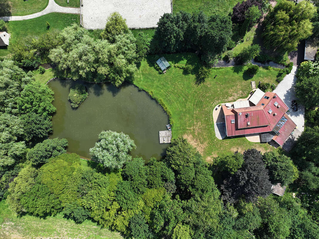 EXCLUSIVITE - THAON - Propriété de 275 m2 sur 9 000 m2 de terrain avec étang - photo 18
