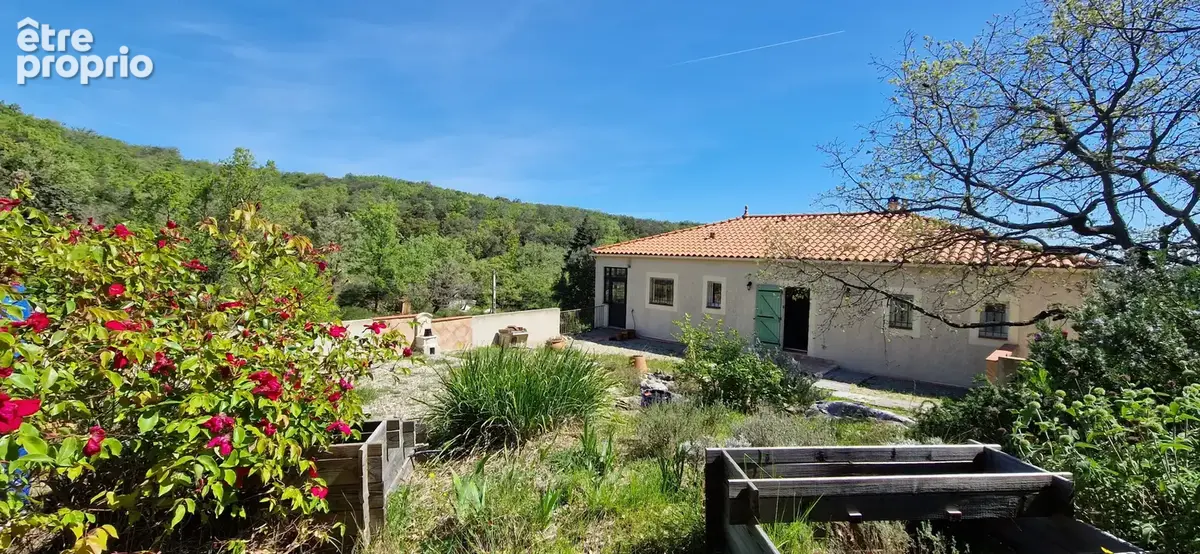 A belesta - villa 4 faces sur grande parcelle arbore - photo 17