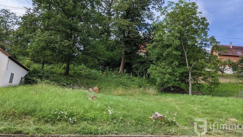 Terrain à DRACHENBRONN-BIRLENBACH