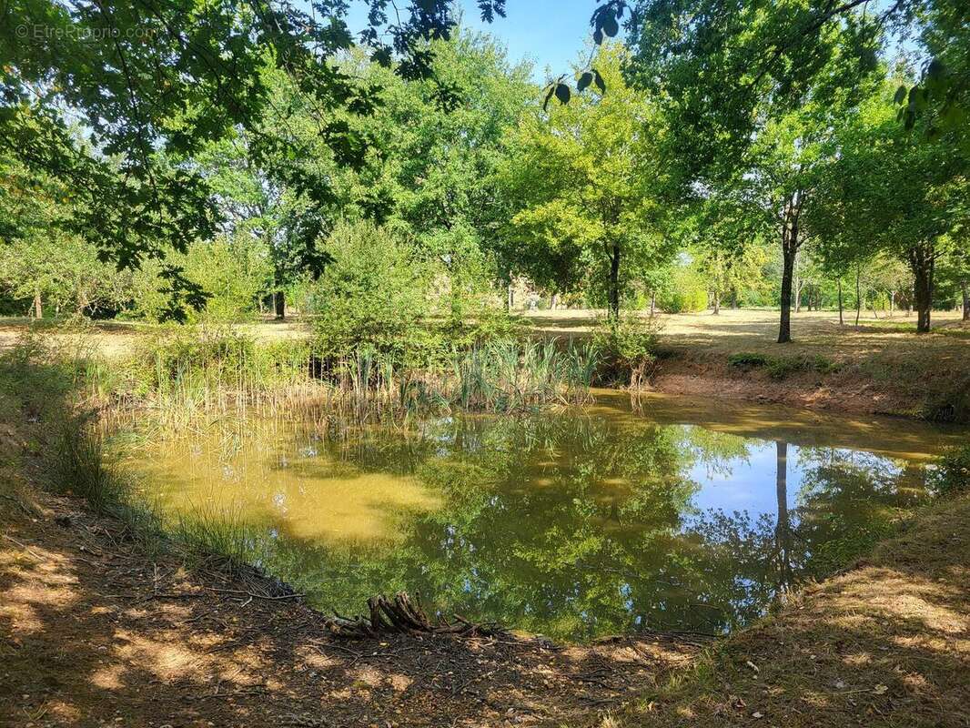 20250826120515 - Maison à PERIGUEUX