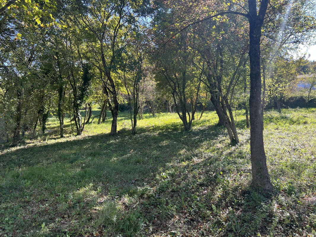 Terrain à SALAZAC