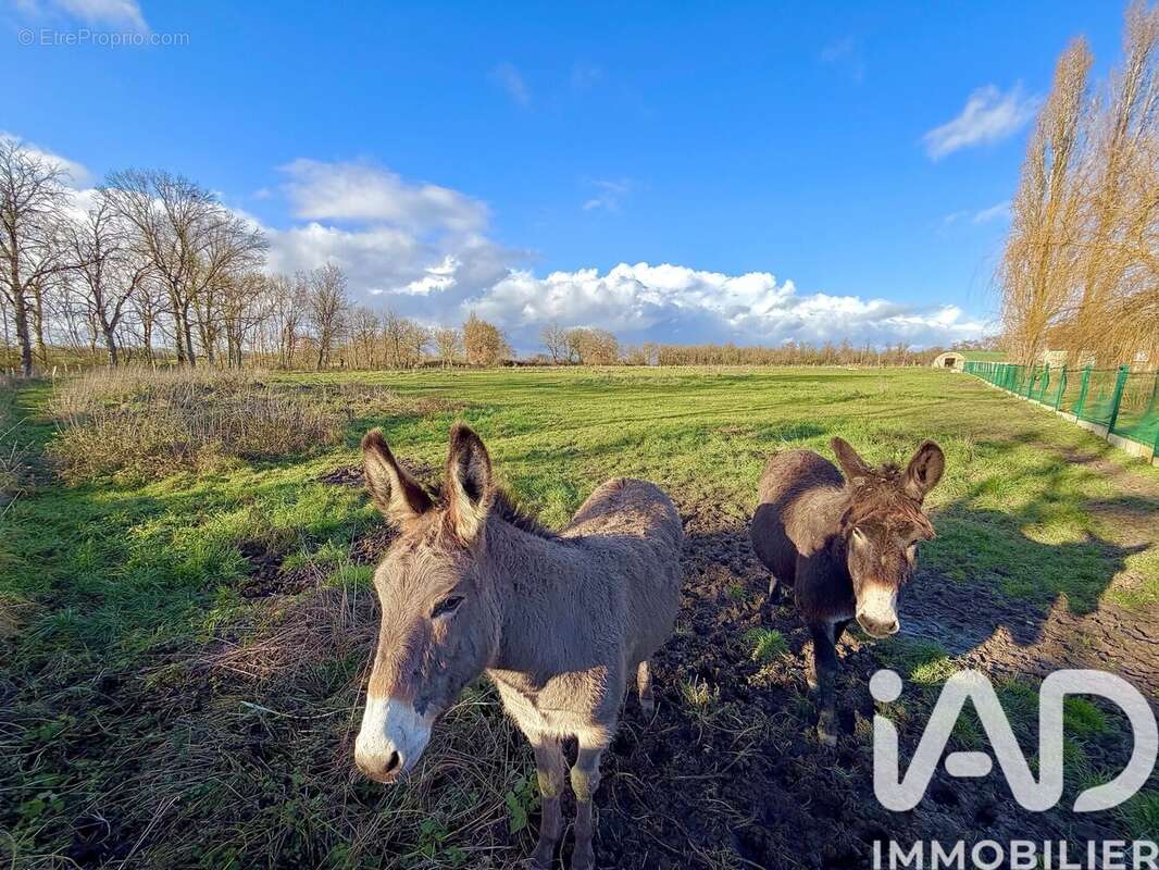 Maison 172 m² à Neons-Sur-Creuse  - photo 4