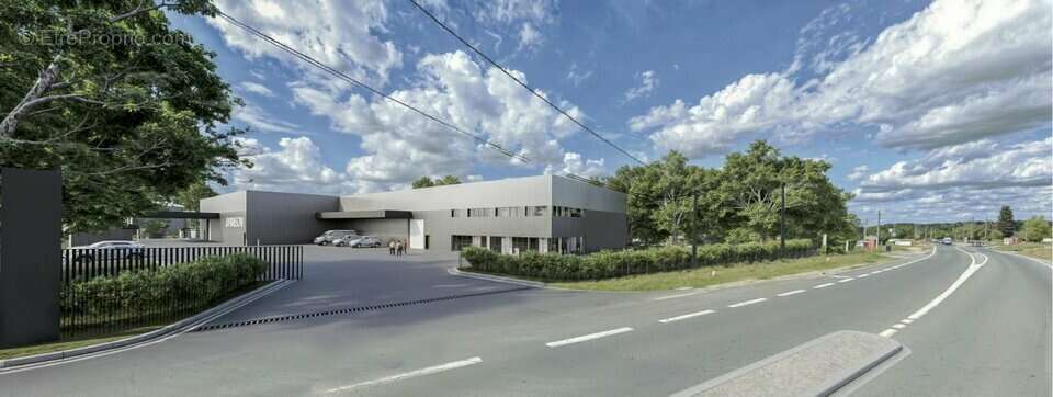 Commerce à SAINT-MEDARD-EN-JALLES