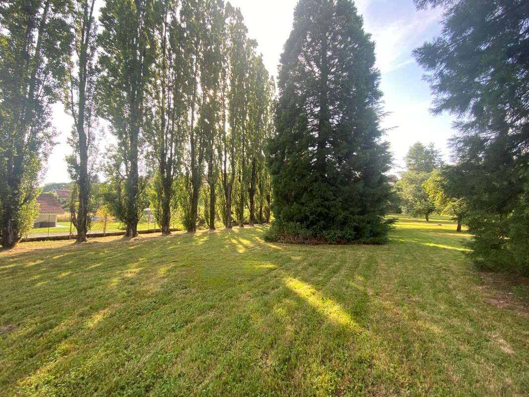 Terrain à vendre  proche de ESSERT - photo 5