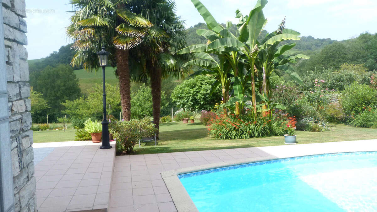 P1230268 - Maison à OLORON-SAINTE-MARIE