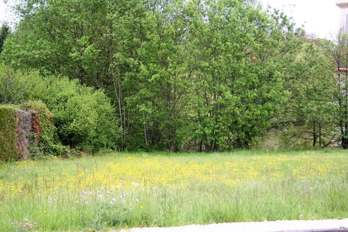 Terrain à FOUSSEMAGNE