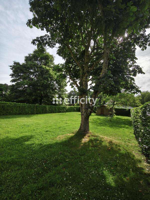Maison 156 m² à Pleslin-Trigavou  - photo 4