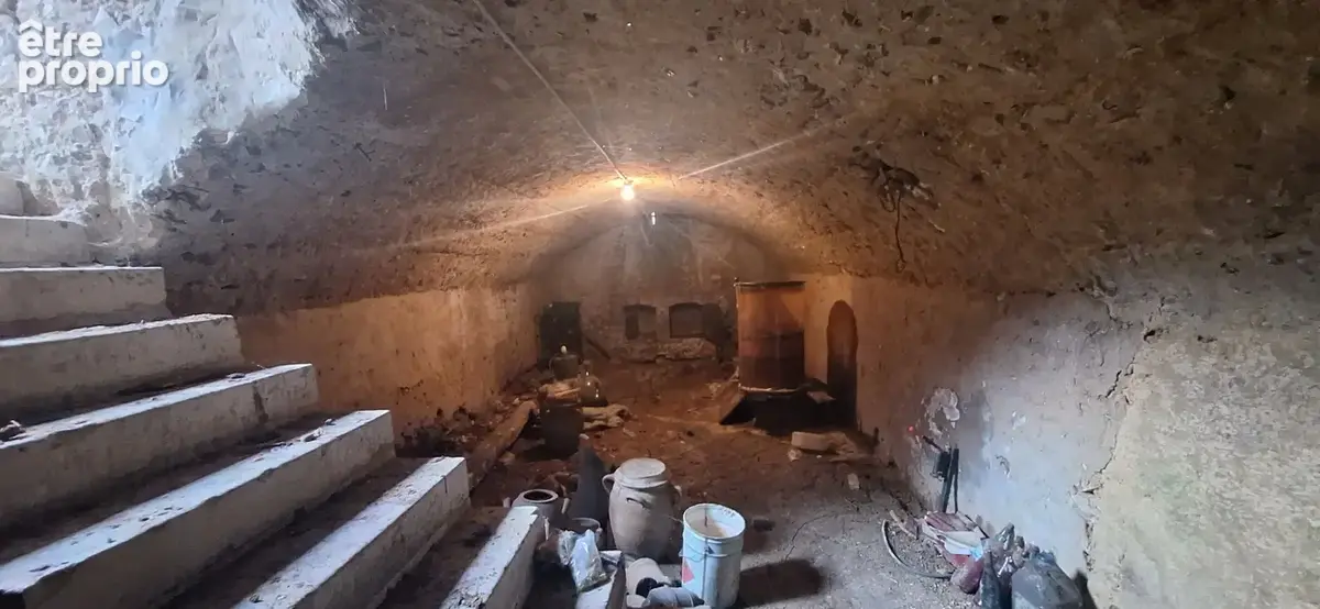 Maison de campagne 60m2 environ,2 granges 50m2 chacunes,ateliers,cave, sur son terrain 770m2. - photo 13