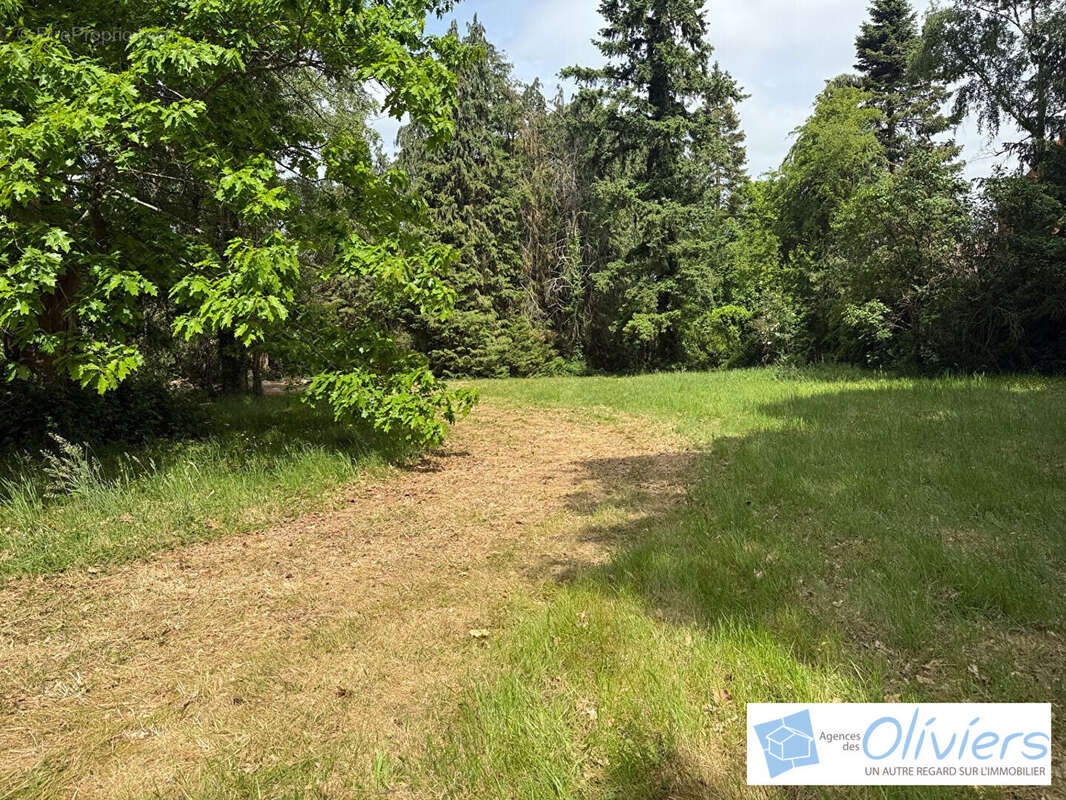 Terrain à CHEVREUSE