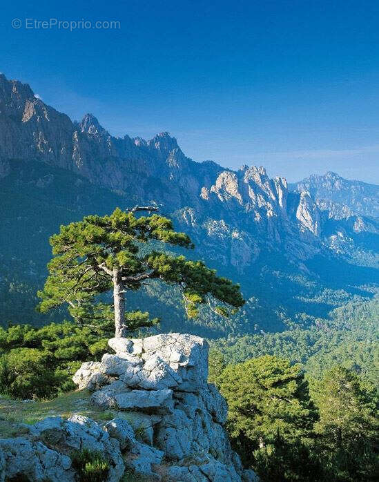 Maison à PORTO-VECCHIO