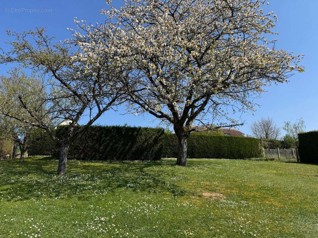Maison à PACY-SUR-EURE