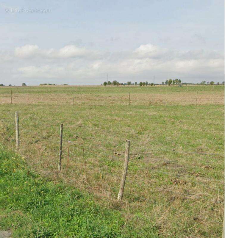 Terrain à SAINT-XANDRE