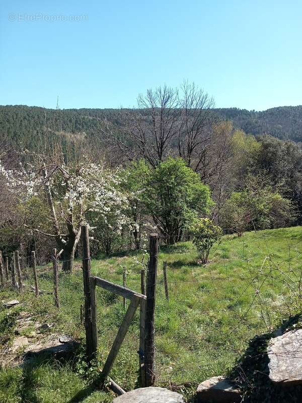 Maison de hameau à vendre SAINT MARTIN DE BOUBAUX (48) - photo 23