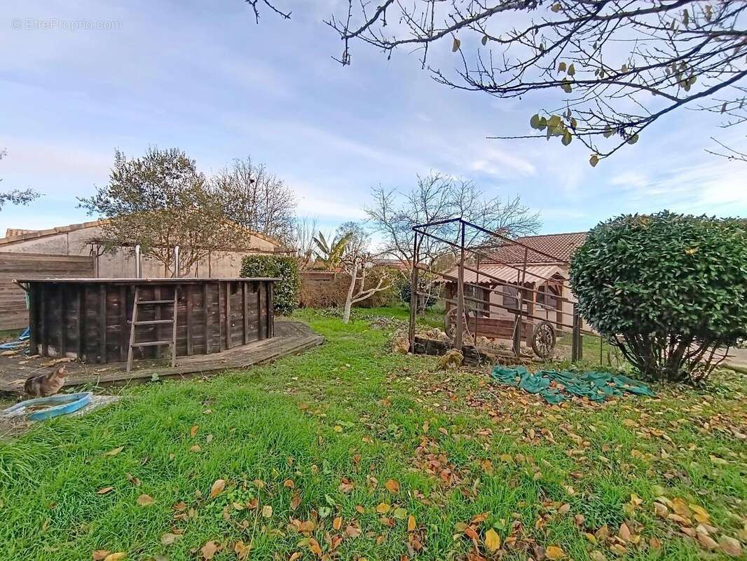 Photo 8 - Maison à PONT-DU-CASSE