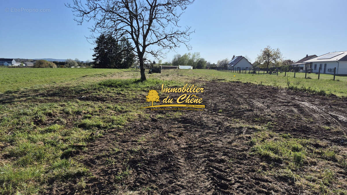 Terrain à FROIDECONCHE