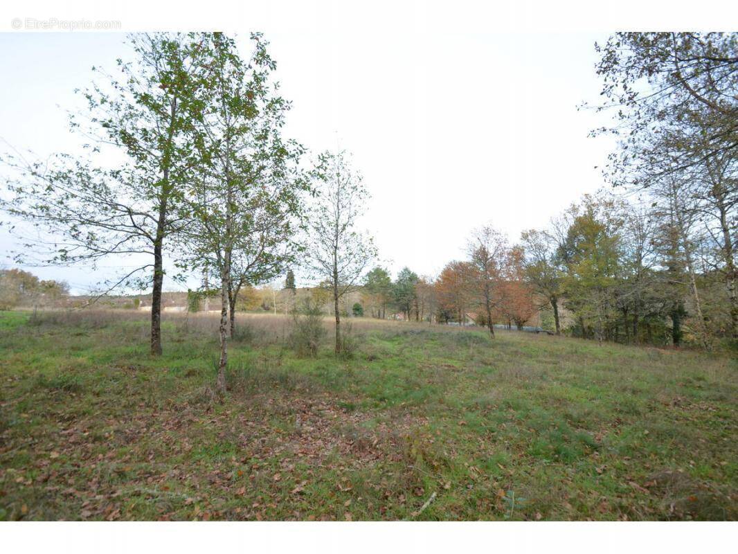 Terrain à SAINT-JEAN-D&#039;ATAUX