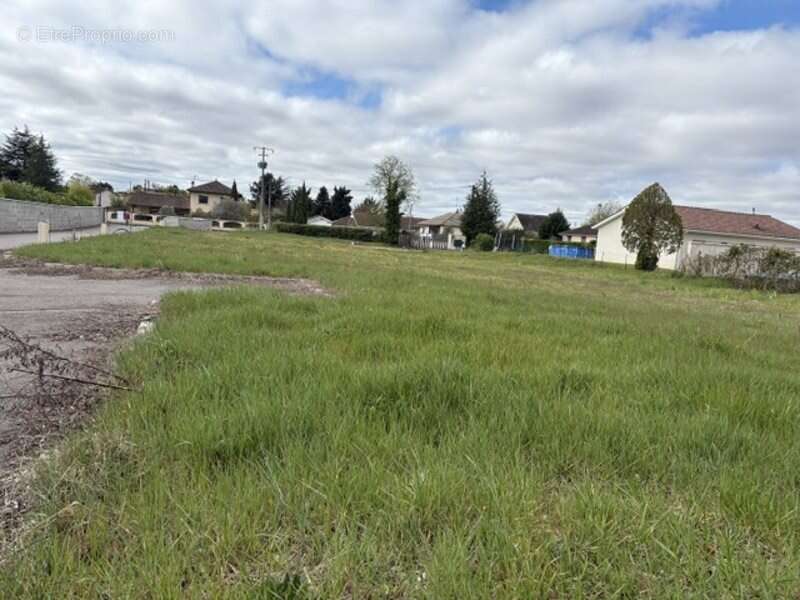 Terrain à SAINT-ROMAIN-DE-JALIONAS