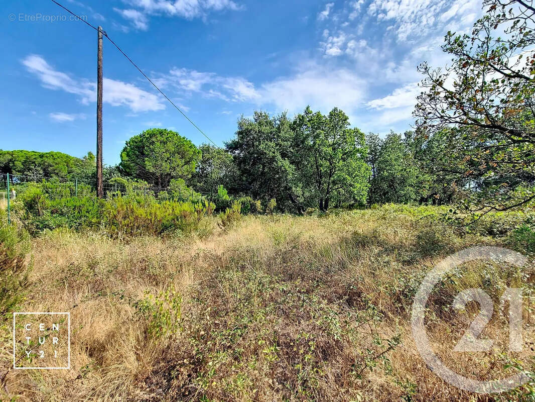 Terrain 5055 m² à Toulouges  - photo 8