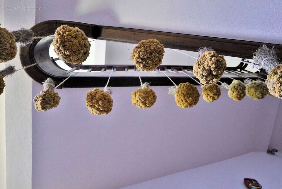 Maison à SAINT-SEVER-DE-RUSTAN