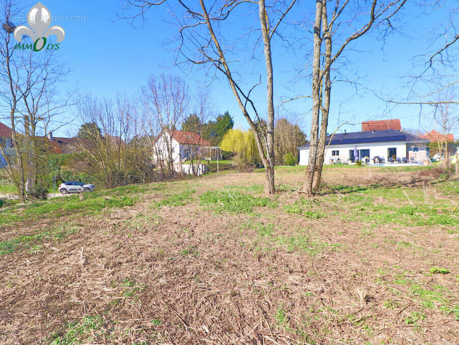 Terrain à AUVILLARS-SUR-SAONE