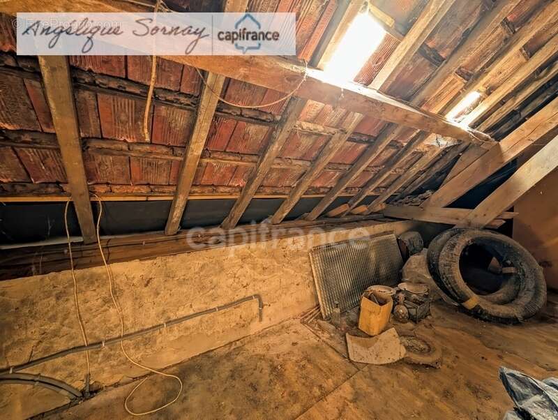 À Louhans, une propriété familiale aux volumes rares - photo 34