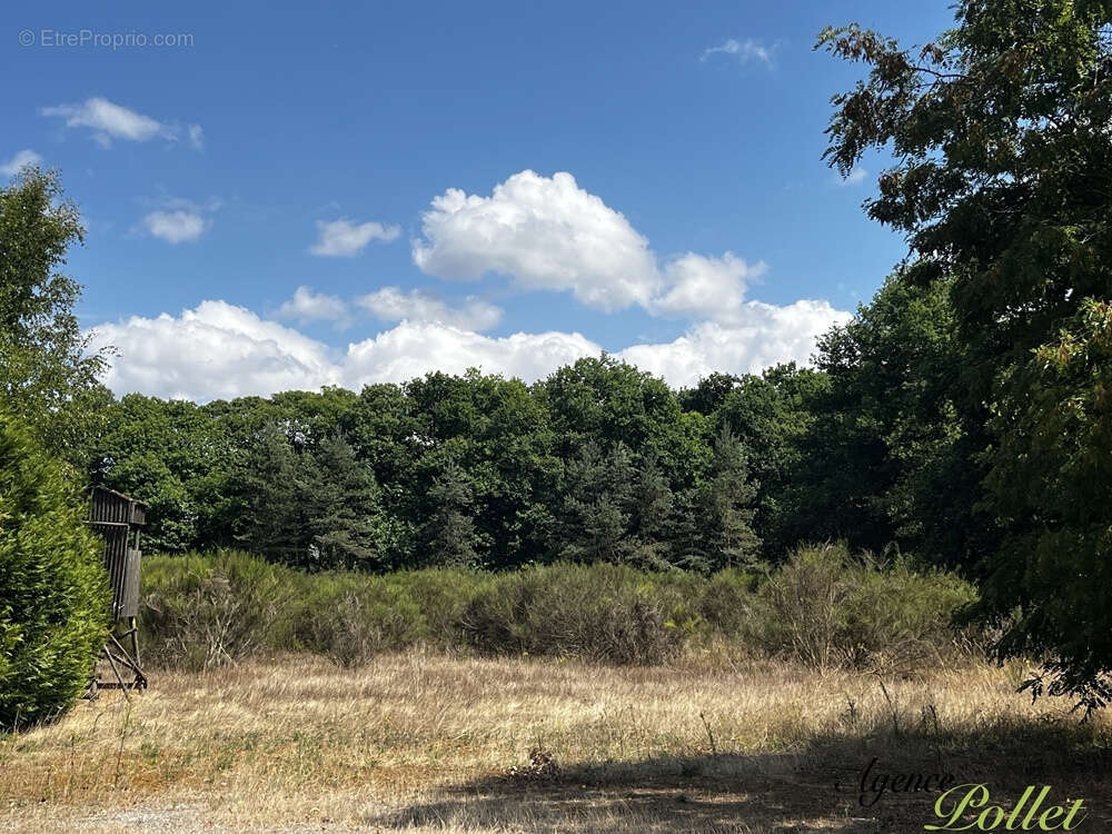 Maison à BRINON-SUR-SAULDRE