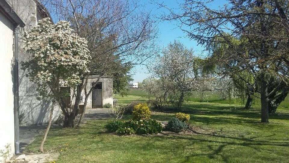 Maison à LADOIX-SERRIGNY