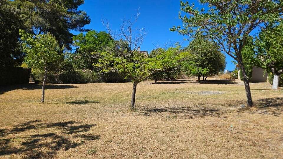 Terrain à LA BASTIDONNE