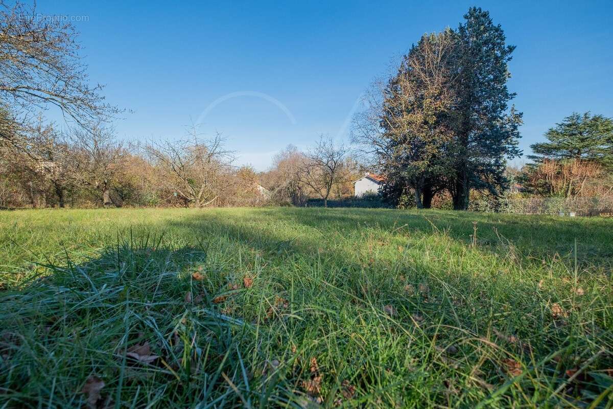 Terrain à TASSIN-LA-DEMI-LUNE