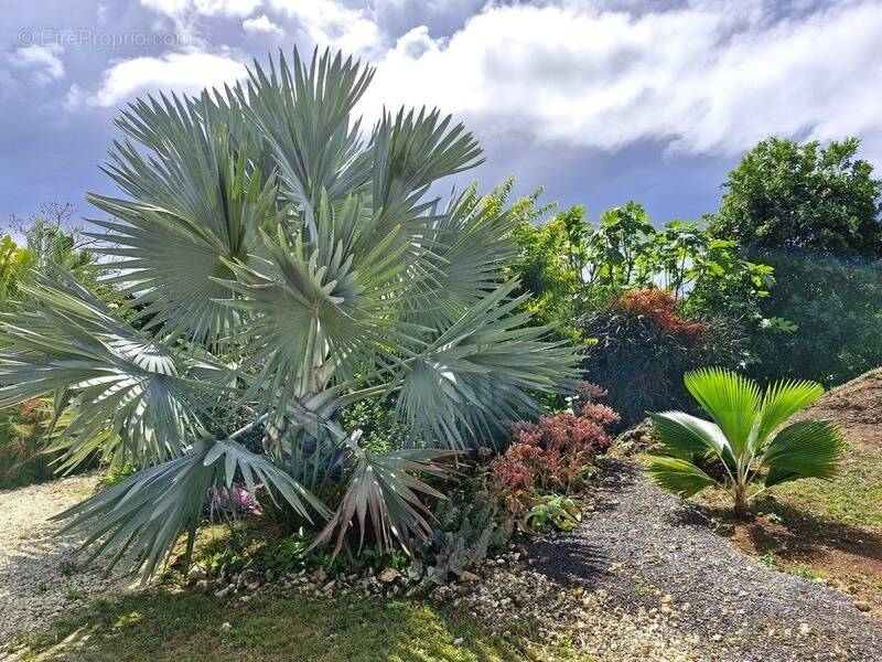 Maison à GRAND-BOURG