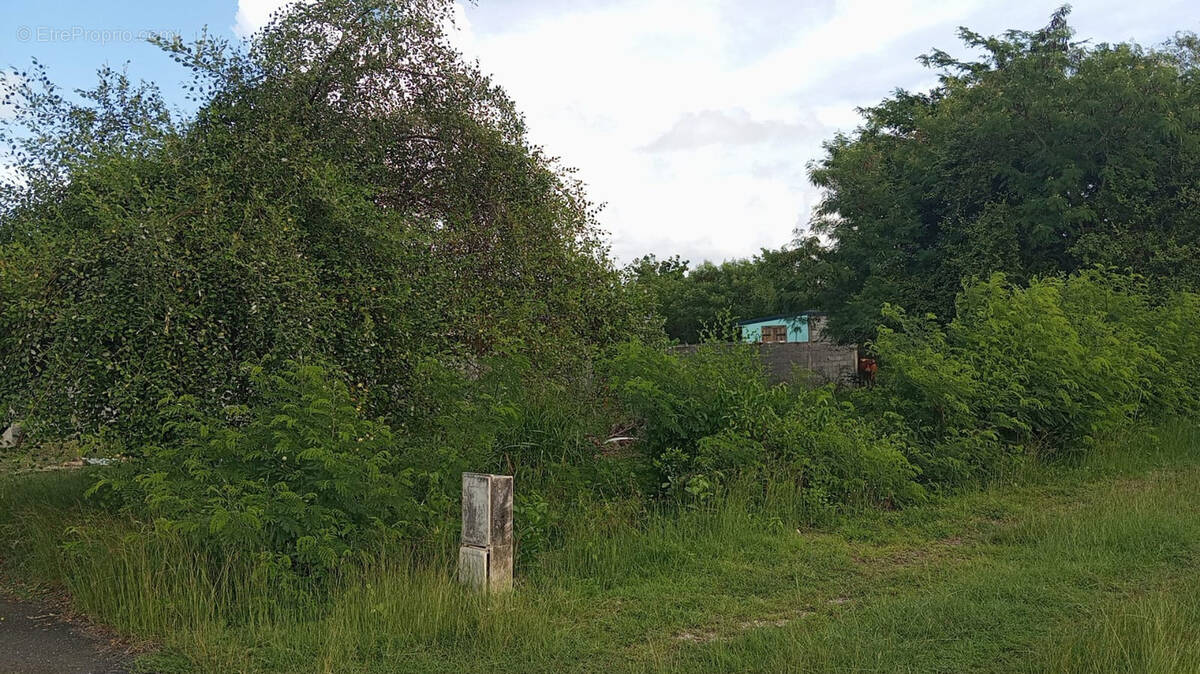 Terrain à ANSE-BERTRAND
